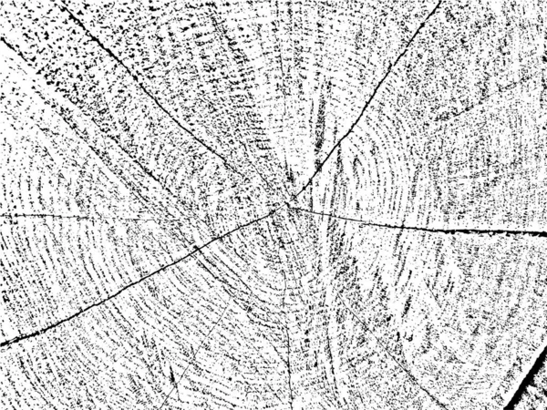 Autentická Grunge Textura Průřezu Stromu Prasklinami Přírodní Monochromatické Organické Pozadí — Stockový vektor