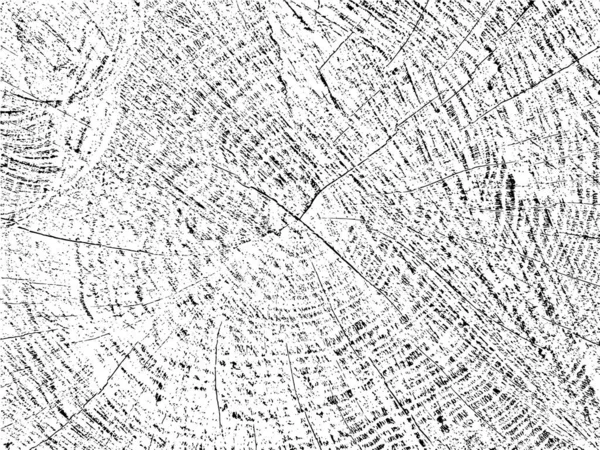 Organische Grunge Textur Eines Baumquerschnitts Mit Rissen Betrübter Monochromer Hintergrund — Stockvektor