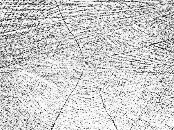Естественная Гранжевая Текстура Поперечного Сечения Дерева Трещинами Концентрическими Кругами Монохромный — стоковый вектор