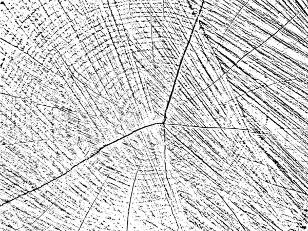 クラックと同心円を特徴とする古い太陽の木の自然と有機的な背景とベクトルグランジテクスチャ ヴィンテージ 素朴な 抽象的なデザインのための使用 — ストックベクタ