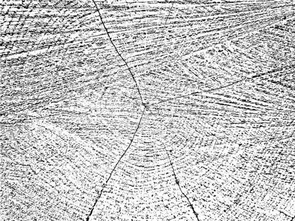 Textura Grunge Única Una Sección Transversal Árbol Con Grietas Círculos — Archivo Imágenes Vectoriales