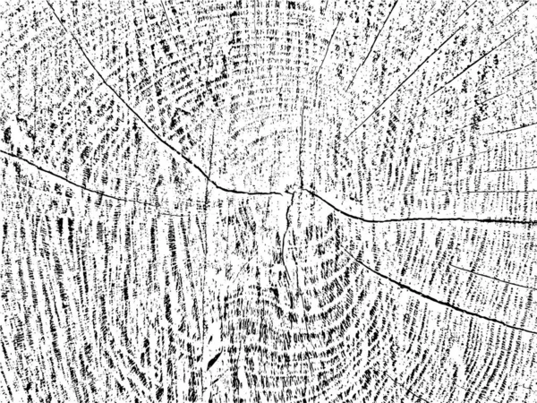 Einzigartige Organische Grunge Textur Eines Baumquerschnitts Mit Rissen Und Konzentrischen — Stockvektor