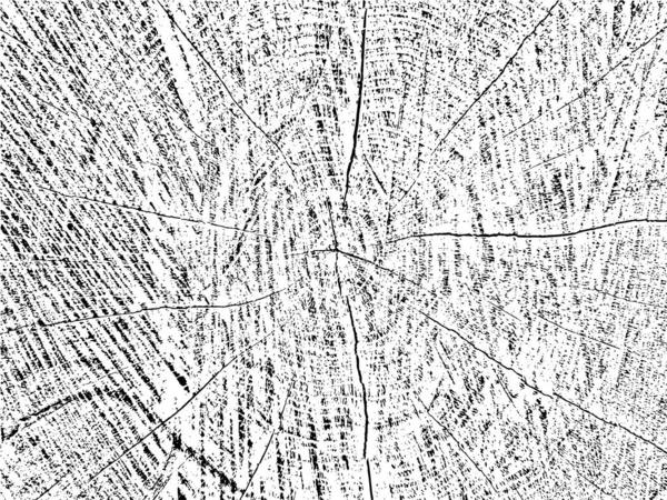 Textura Grunge Vectorial Auténtica Una Sección Transversal Árbol Con Grietas — Archivo Imágenes Vectoriales