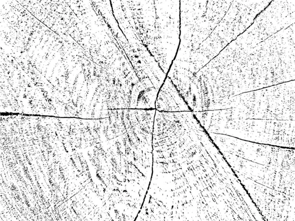 Textura Grunge Monocromática Orgânica Árvore Serrada Velha Com Rachaduras Padrões — Vetor de Stock