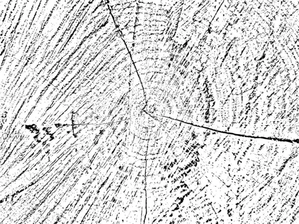 得到一个自然的 有机的外观与这个矢量磨擦纹理的切割木材 它具有裂缝和同心圆的特点 提供了独特而自然的图案 — 图库矢量图片