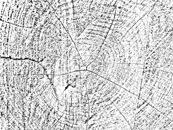 Jedinečná Přírodní Grunge Textura Řezaného Dřeva Prasklinami Soustřednými Kruhy Monochromatické — Stockový vektor