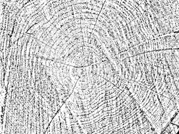 独特的矢量磨擦纹理与裂缝和圆圈 由切割的木材制成 老锯木的天然 单色有机背景 完美的老式 乡土气息 抽象的设计 — 图库矢量图片