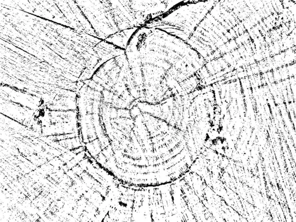 Откройте Себя Естественную Уникальную Векторную Гранжевую Текстуру Пиломатериалов Органическими Трещинами — стоковый вектор