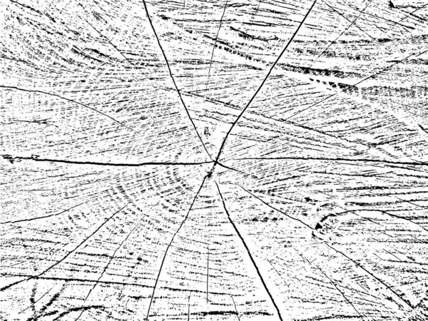 Texture Grunge Vectorielle Organique Unique Bois Scié Avec Des Fissures — Image vectorielle