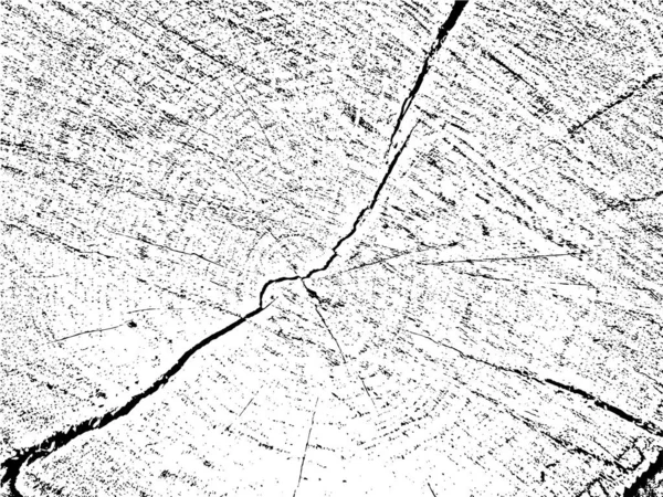 亀裂や同心円とカット木材のユニークなグランジテクスチャ 古い太陽の木の自然 有機モノクロームの背景 ヴィンテージ 素朴な抽象的なデザインのための使用 — ストックベクタ