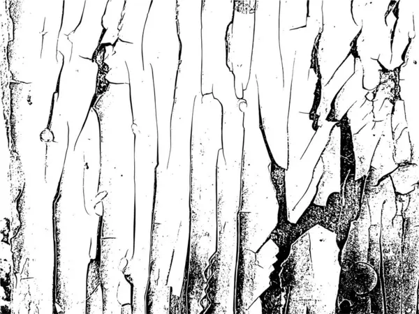 Урожай Гранжевої Текстури Стурбованою Пілінговою Фарбою Дерев Яній Поверхні Додає — стоковий вектор