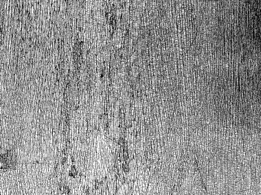 Eski ahşap tahtanın doğal vektör grunge dokusu. Stres, hava durumu, çentikler, çatlaklar, çizikler, çizikler, tozlar, büyük ve küçük taneler. Eski tarz arka planlar için