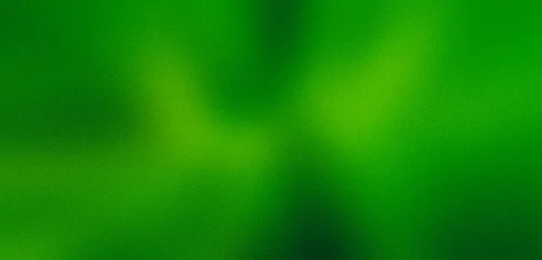 Ultra wide lime green matte blurred grainy background for website banner. Color gradient, ombre, blur. Defocused, colorful, mix, bright, fun pattern. Desktop design, template. Holidays, tree, grass