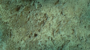 Yumuşak yeşil tonlu desenli taş duvar, doğal arka planlar için ideal, 4K duvar kağıtları, ve kırsal ve dünyevi bir estetik sunan çevre temalı afişler.