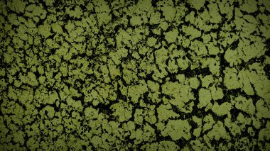 Koyu yeşil ve siyah tonlarda çatlak dokular, cesur ve dayanıklı bir tasarım sunuyor. Arka planlar, duvar kağıtları ve organik, dünyevi hisleri olan yaratıcı projeler için mükemmel.