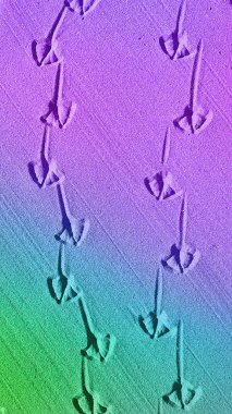 Morun, mavinin ve yeşil renklerin yumuşak geçişlerini içeren, kumda doğal martı izleri olan, duvar kağıtları, afişler ve yaratıcı tasarımlar için ideal, canlı bir dikey 4K gradyan plan.