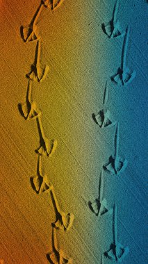 Doğal kum üzerinde kumlu martı izleri olan dikey 4K arka plan, ılık turuncudan canlı maviye geçiş, afişler, duvar kağıtları ve yaratıcı arka planlar için mükemmel