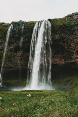 Seljalandsfoss Şelalesi - İzlanda 'daki Şelale Manzarası - Şelale Seyahat Hedefi