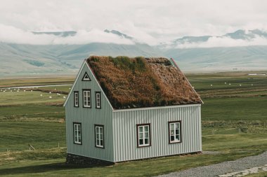 İzlanda Dağları 'ndaki ev ve açık mavi çatılı yeşil gras.