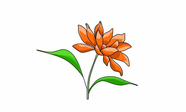 Lotus flower illustration. Or by another name Nymphaea. Flat design. Isolated white background
