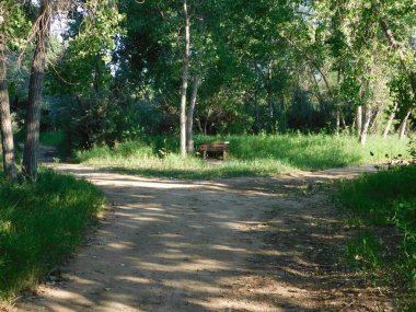 Güzel bir bahar zamanı patikası Yol ayrımı ve güneşli hava