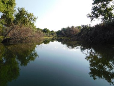 Doğanın güzel manzarası. Jimmy Camp Creek 'teki gölde (38.677916, -104.698662) tonlarca vahşi yaşam içeren durgun sular.