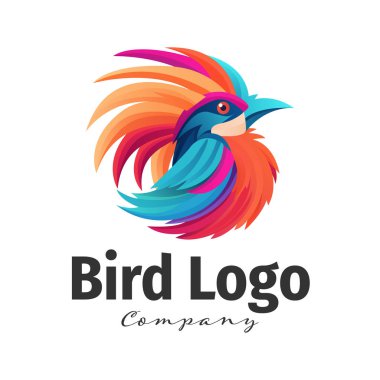 Kuş logosu illüstrasyon şablon tasarımı