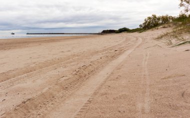 Yeşil ağaçlı deniz manzarası, bir iskele ve kum.