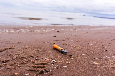 Deniz kabukları ve kumda sarı bir sigara.