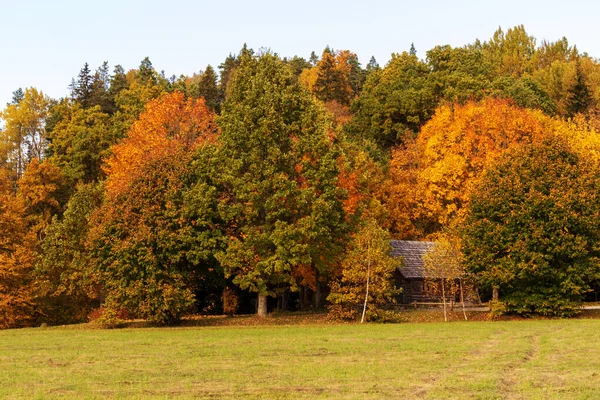 Landschaft Mit Bunten Herbstblättern Und Gras — Stockfoto