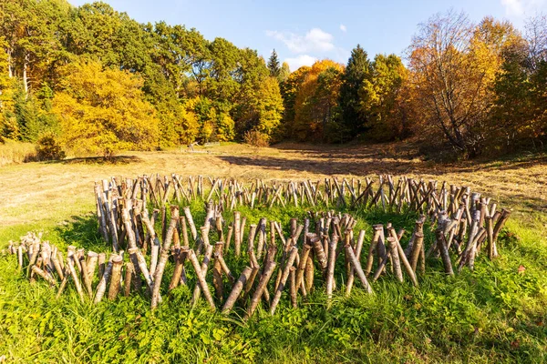 Holzstangen Stecken Grünen Gras Und Bunte Herbstbäume Hintergrund Mit Blauem — Stockfoto