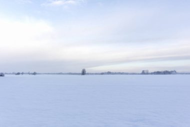 Winter nature view with almost the same colors of earth and sky where there are small trees on the horizon
