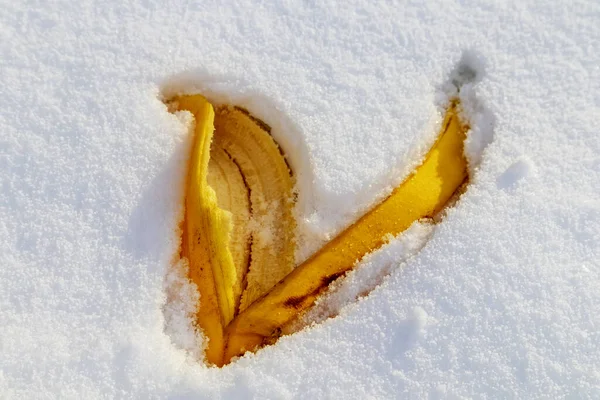 Bright yellow leave fallen in white snow