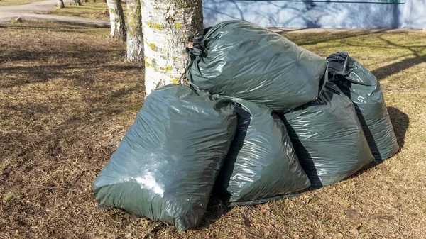 Many black garbage bags next to a  tree on a brown ground