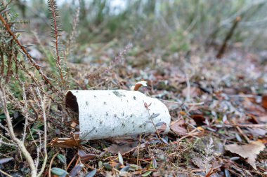 Nature view with the bark of a birch fallen on the ground with leaves in brown color