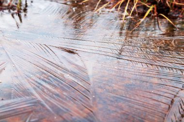A view of a frozen puddle of water in a brownish color