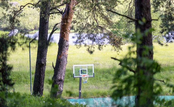 Μπάσκετ Στεφάνι Στον Τομέα Μεταξύ Των Δέντρων Και Μπλε Φόντο — Φωτογραφία Αρχείου