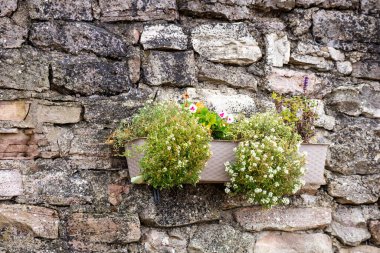 Üzerinde saksılar olan gri taş bir duvar.