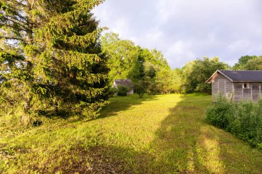 Arkasında ağaçlar olan bir tarlada ahşap bir ahır.