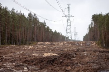 Orman hattındaki elektrik hatları