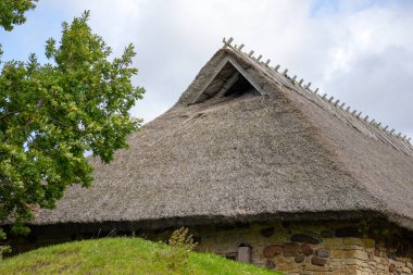 Mavi gökyüzündeki Reed çatısı ve ağaç arka planı