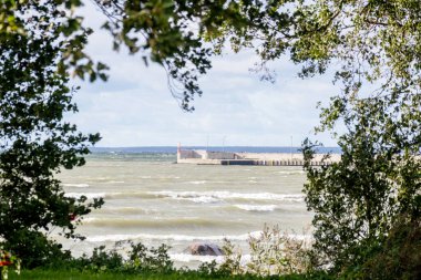 Ağaç dalları arasındaki iskelede.