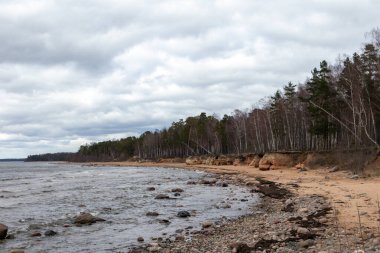 Deniz kumullarını ortaya çıkaran yıkanmış deniz kıyıları.