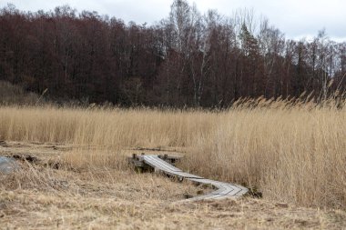 Dar ahşap kaldırım uzun sarı kumsalların arasından esiyor.