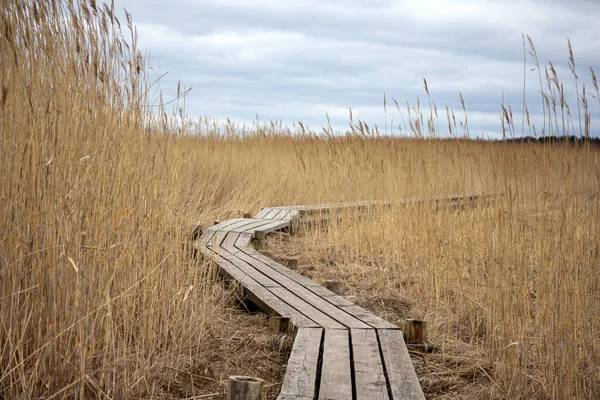 Dar ahşap kaldırım uzun sarı kumsalların arasından esiyor.