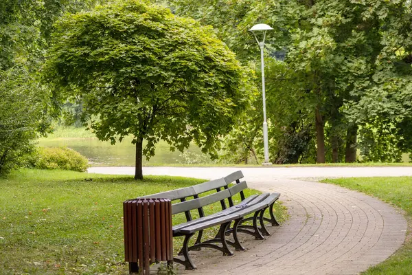 Bankı ve yürüyüş yolu olan bir park ve arka planda yeşil yapraklı bir ağaç.