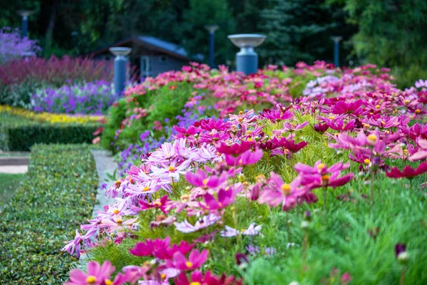 Parkın bir kısmı katlanır, bir çiçek tarhıyla.