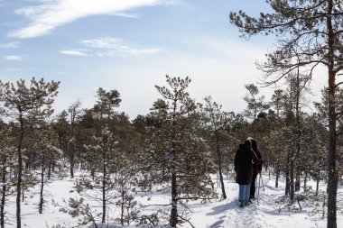 İnsanlar kışın rüzgarla kaplı bir yolda yürür.