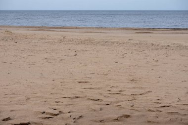 Kahverengi kum, mavi deniz ve mavi gökyüzü ile Baltık deniz plajı