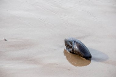 Siyah bir taş kumdaki suda yatıyor.